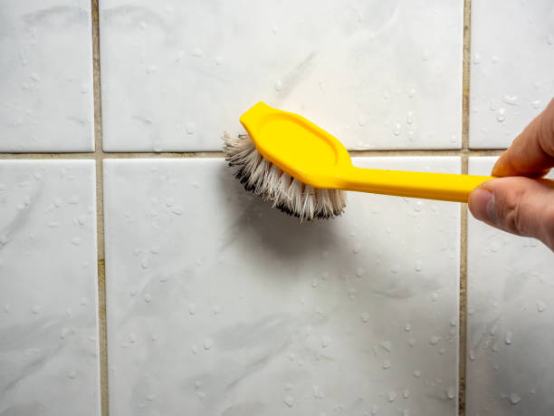 Mold Testing and Removal in California, MD