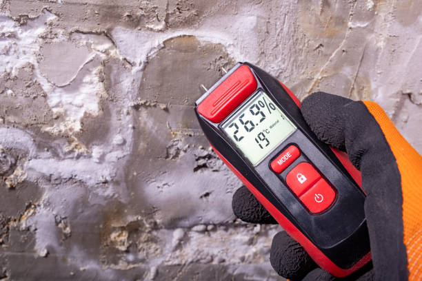 Certified Mold Removal in California, MD