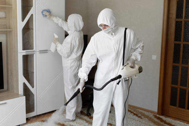 Best Certified Mold Removal  in California, MD